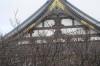 中庭の岩ツツジ…春になれば鮮やかな紫の花で目を楽しませてくれます。